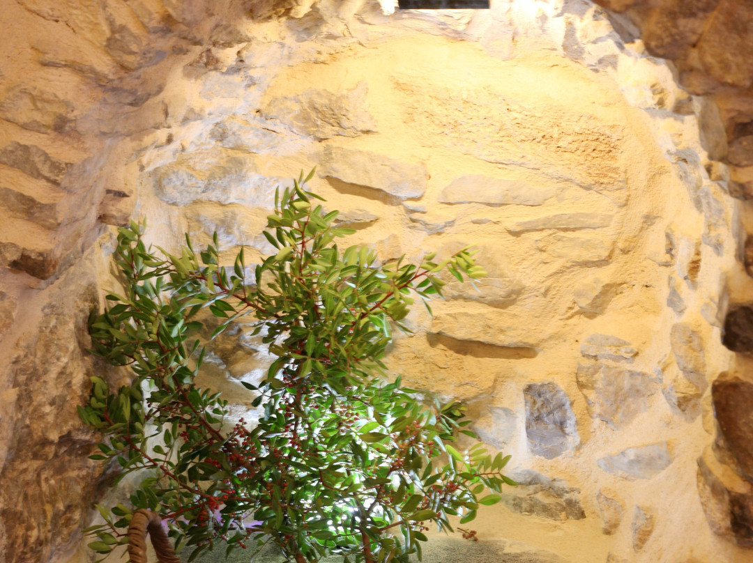 Stoes Traditional Suites主图