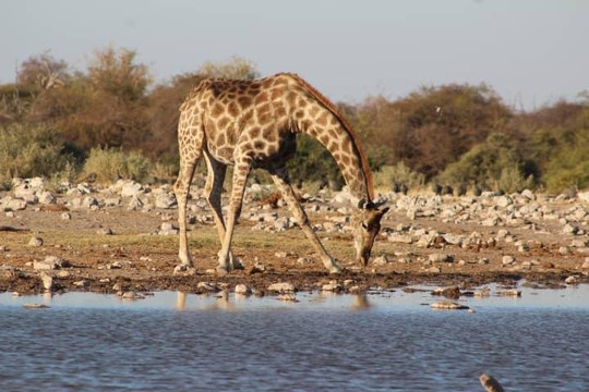 Marek Adventures-温德和克必去景点