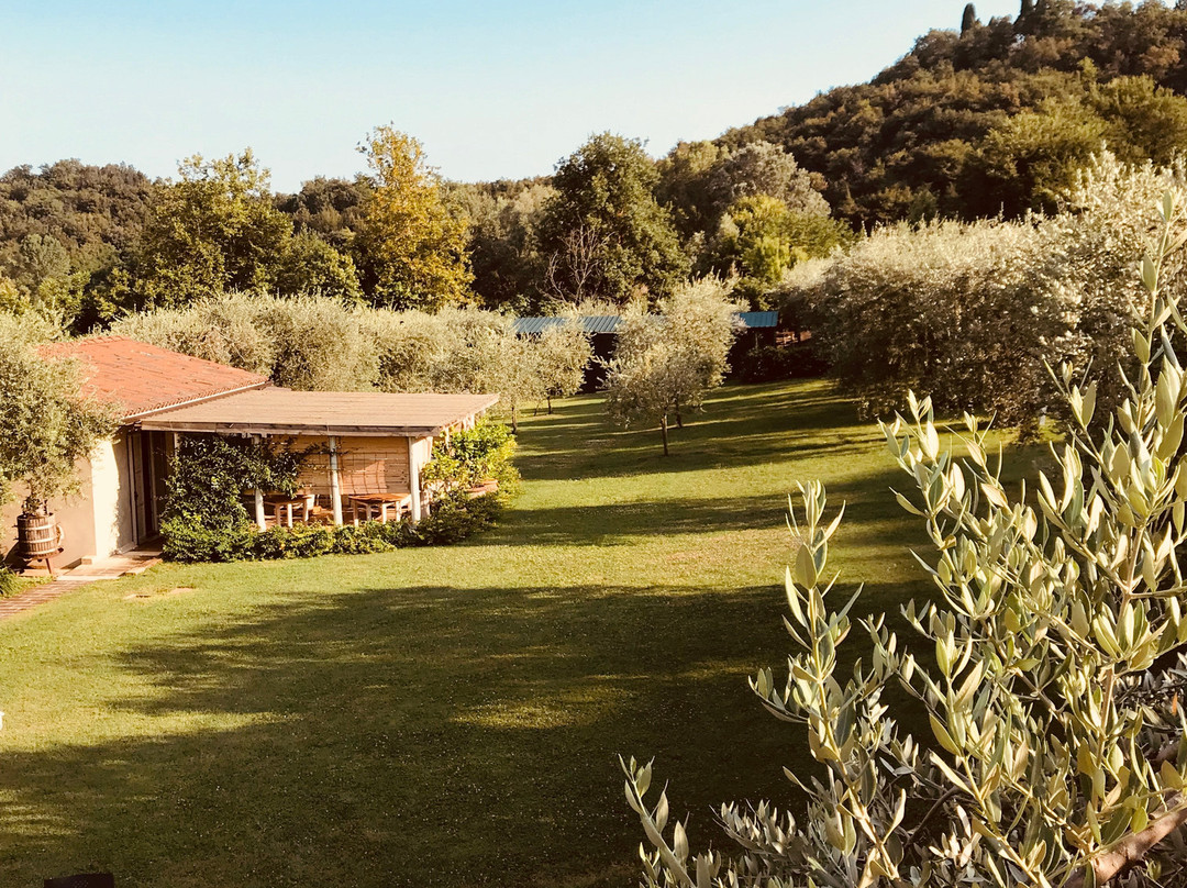Agriturismo Il Cardo主图