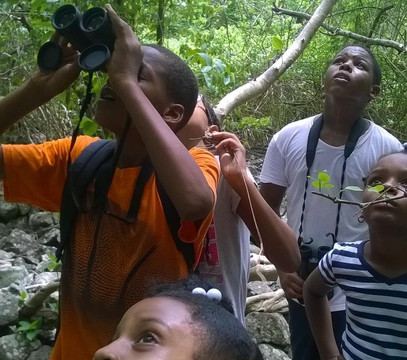 Bamboo Adventures Tours-St. George's必去景点