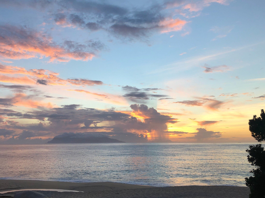 海龟出没 蓝色海洋屋久岛主图