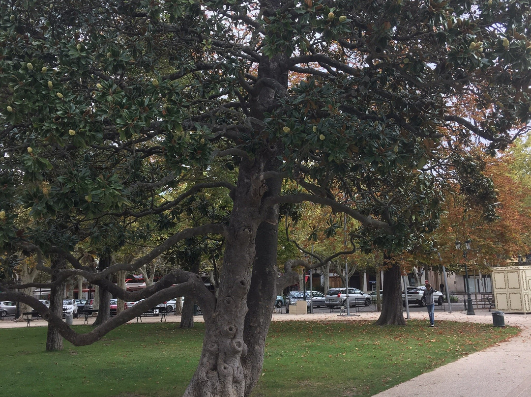 Jardin Public de Montélimar景点图片