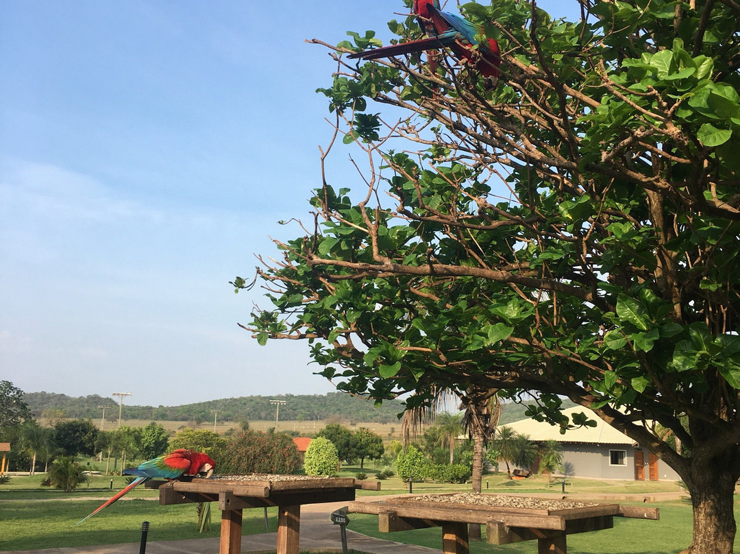 Zagaia Eco Resort主图