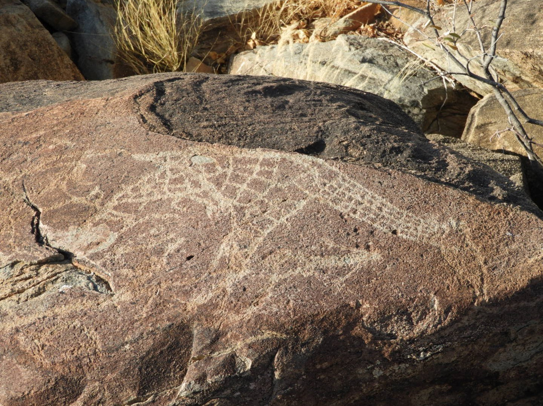 Kunene Region旅游景点-Rock Engravings at Peet Alberts Koppie