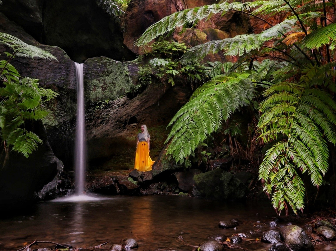 Azores Expeditions-Terceira必去景点