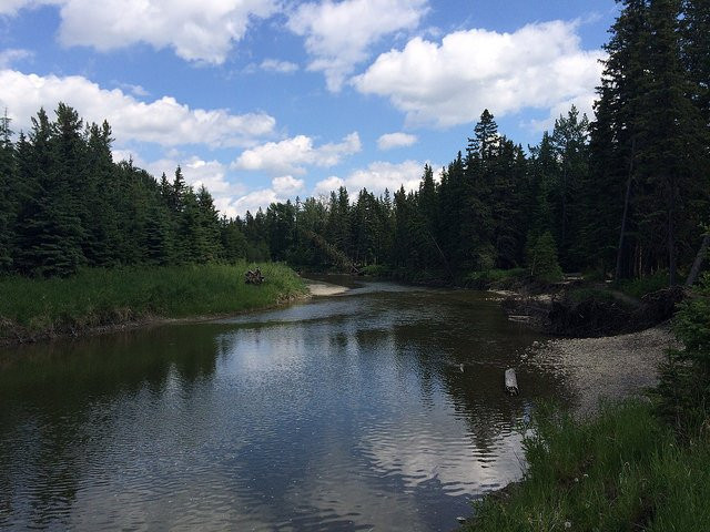 Red Lodge Provincial Park-Spruce View必去景点