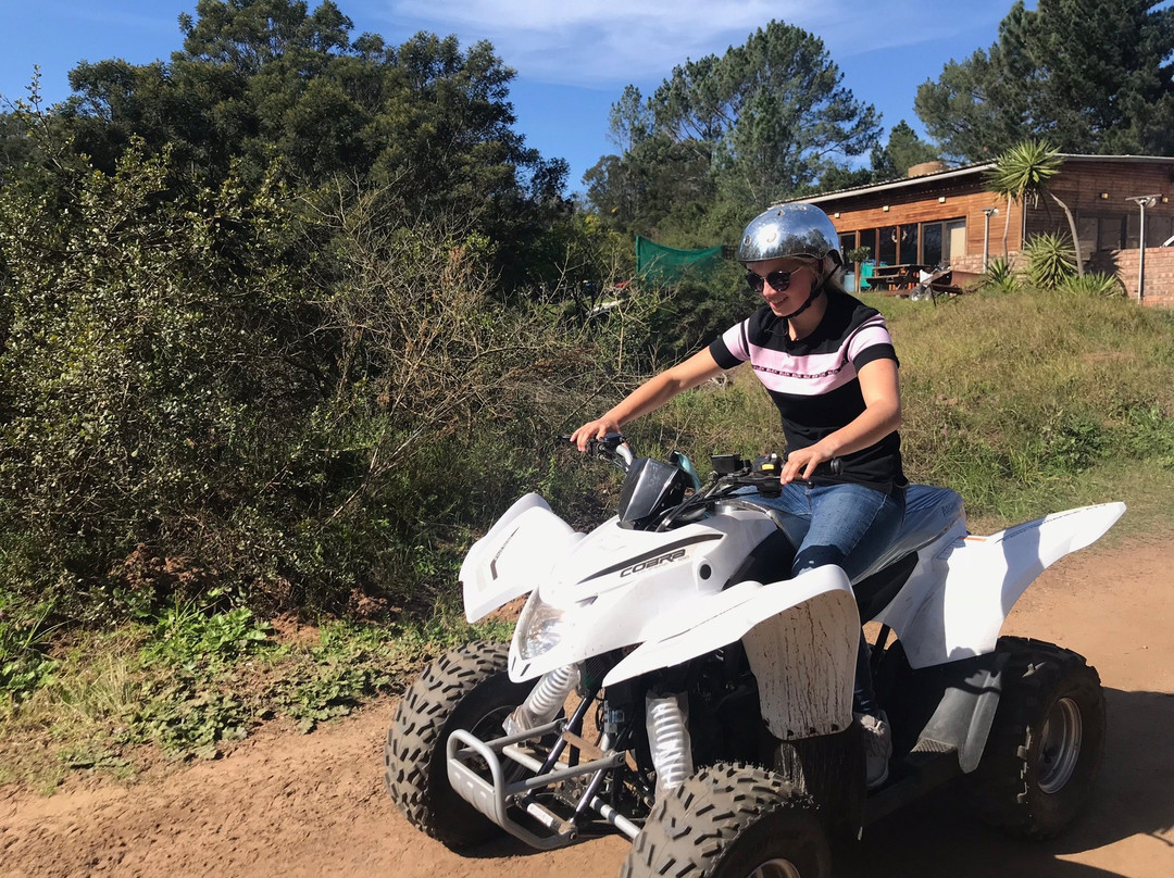 WildX Adventures - Garden Route-荒野必去景点