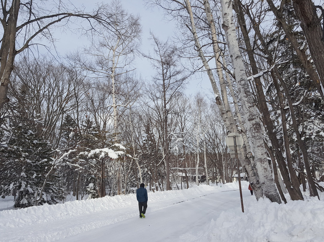 Kawayuonsengai no Ashiyu-弟子屈町必去景点