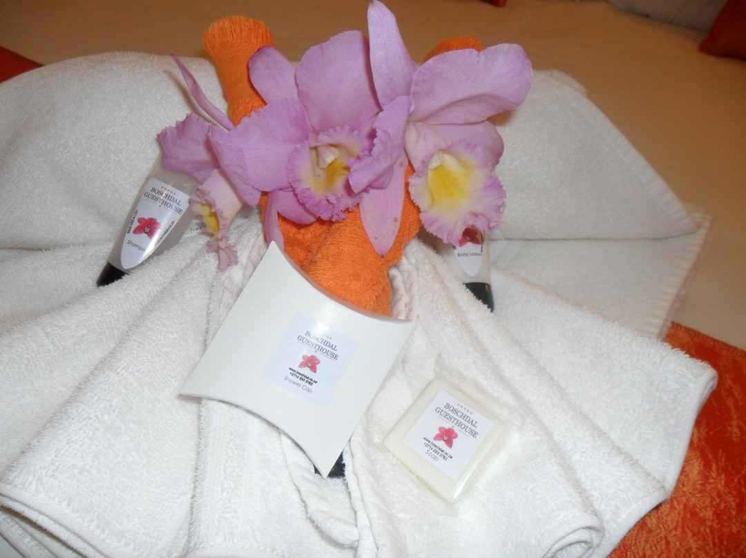 Boschdal Guesthouse主图