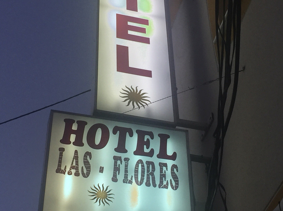 Hotel Las Flores主图
