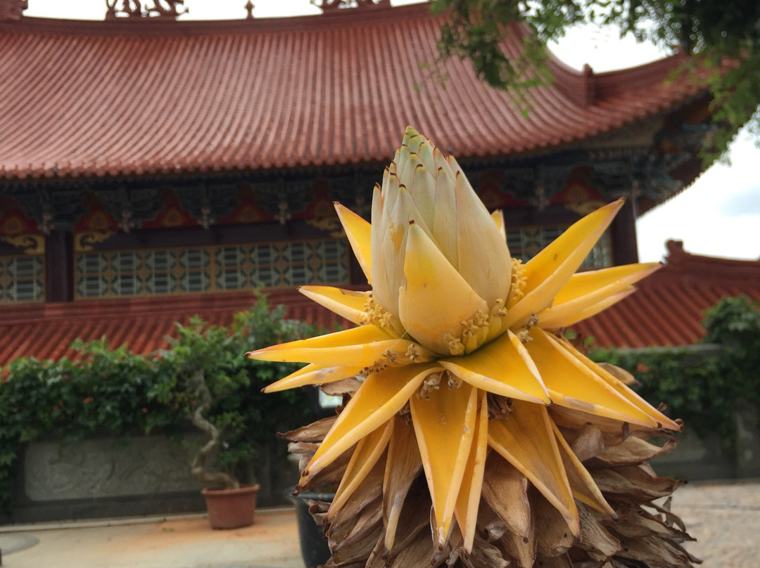 温州孤屿山-乐清市必去景点