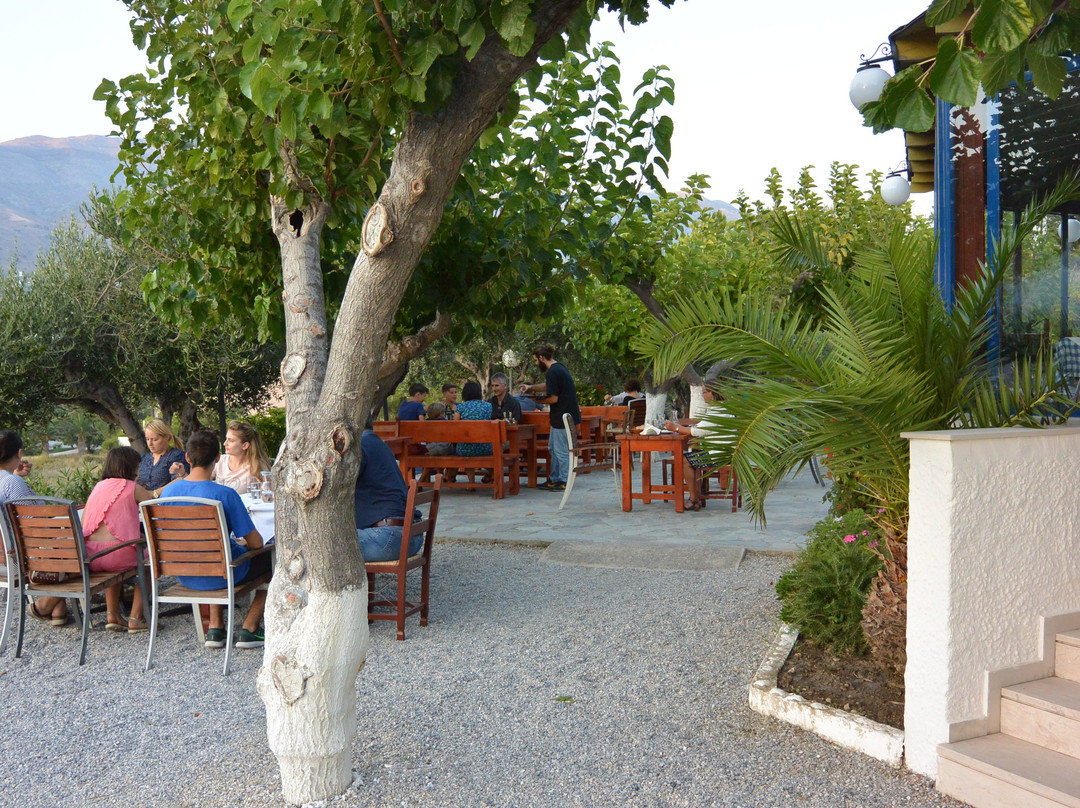 Plakias Bay Hotel主图