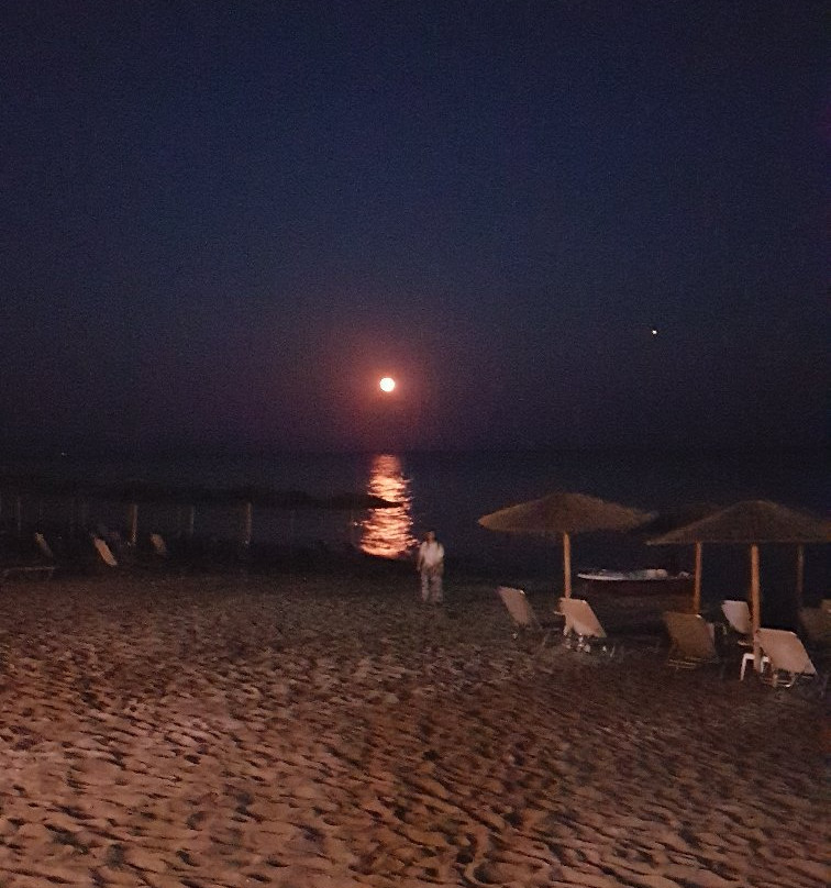 Diamond Palace主图