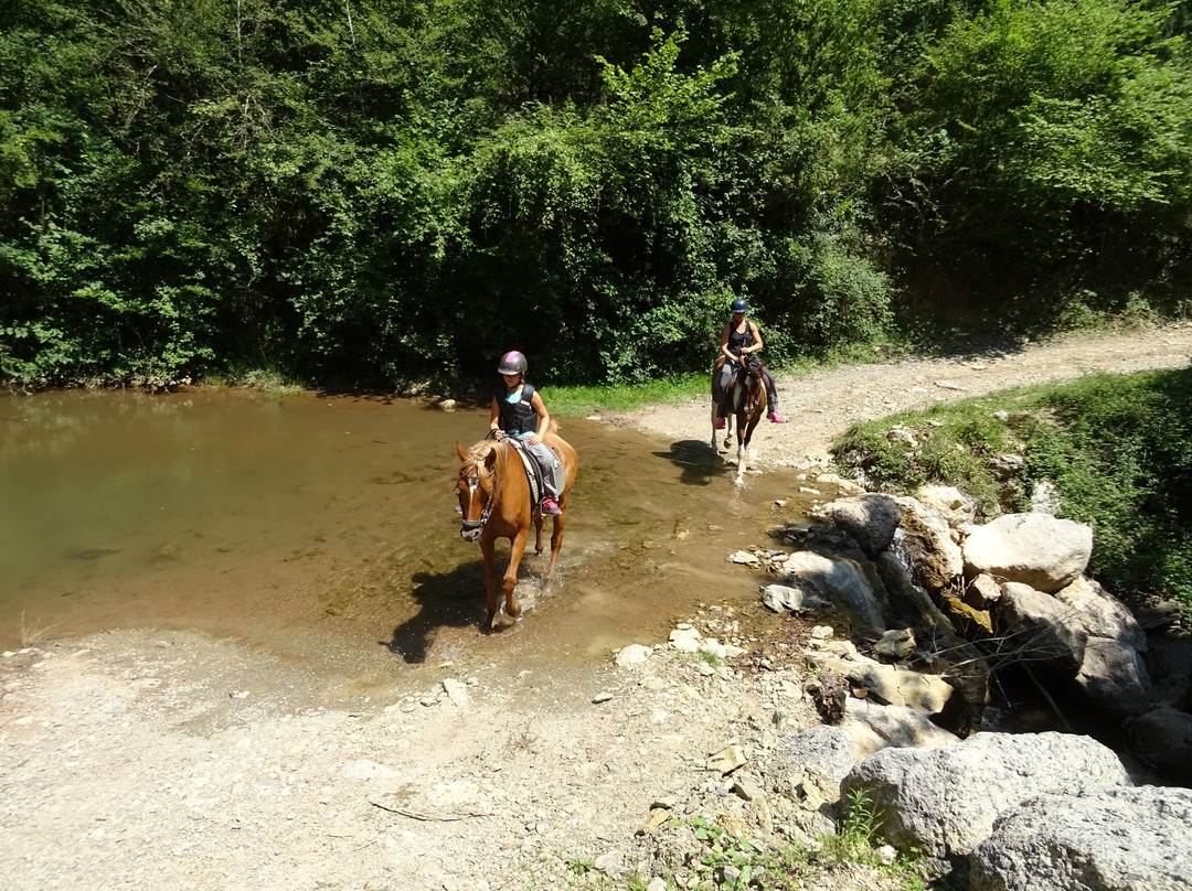 TRAC Terápies I Rutes Amb Cavall-Camprodon必去景点