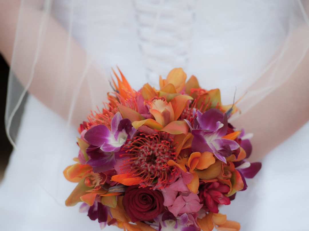 A Promise Made in Paradise-基黑必去景点