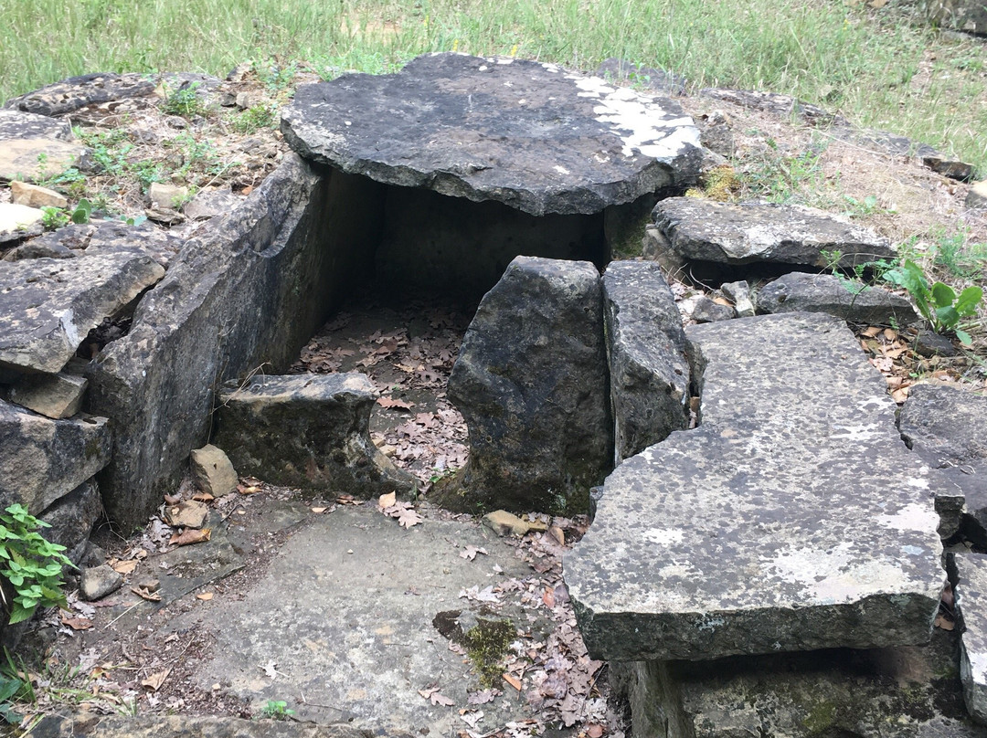 Dolmen Complex景点图片