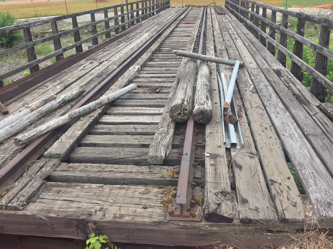 Railroad Memories Museum景点图片