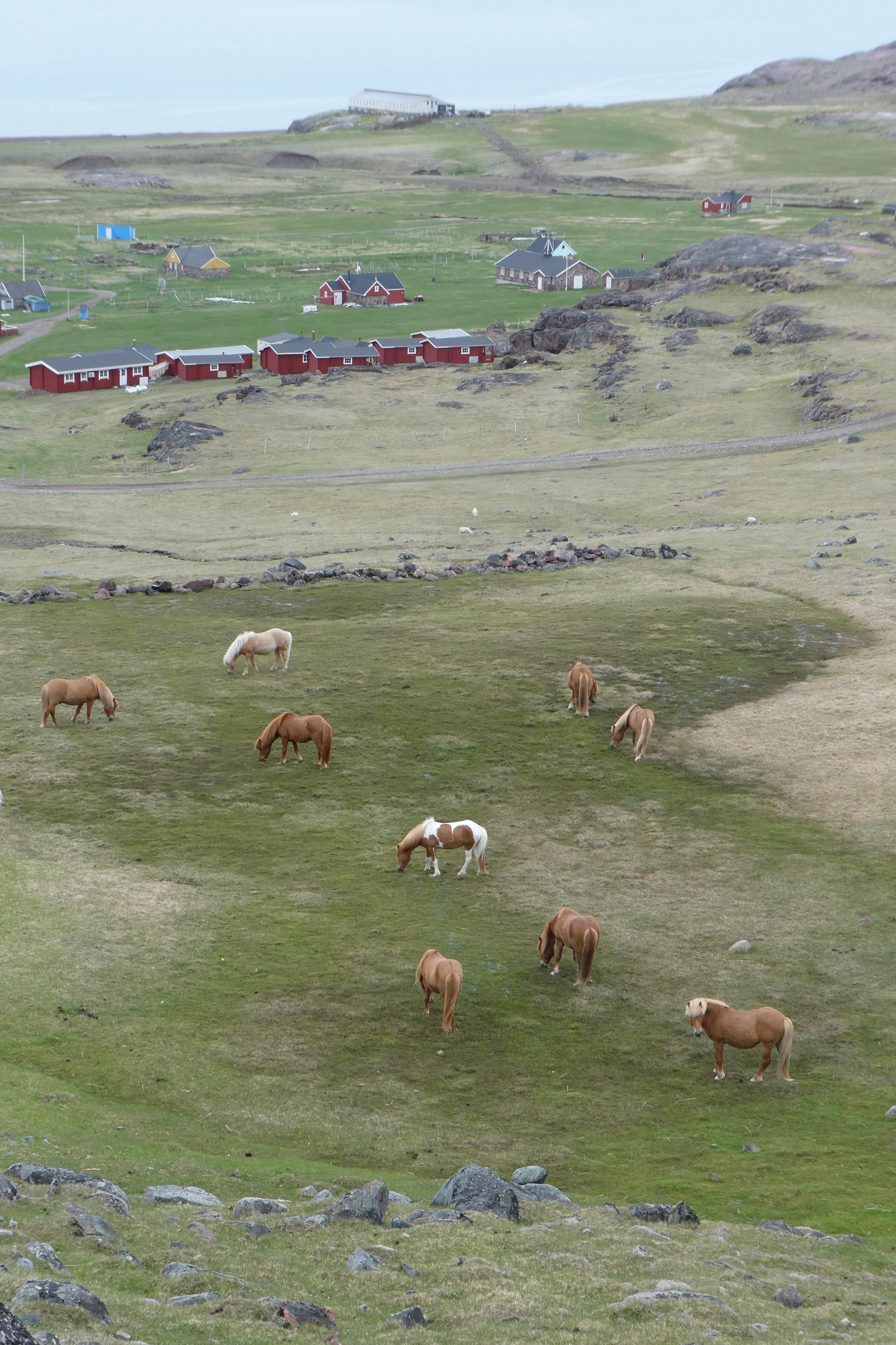 Igaliku Country Hotel & Lodges-浴室