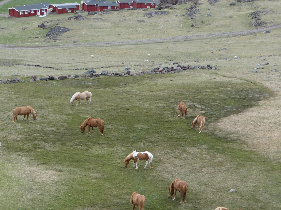 Igaliku Country Hotel & Lodges主图