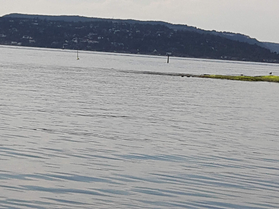 Huk-奥斯陆必去景点