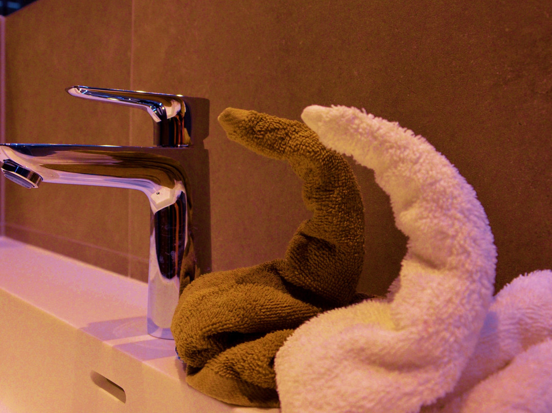 Chalet Tschallener Pension主图