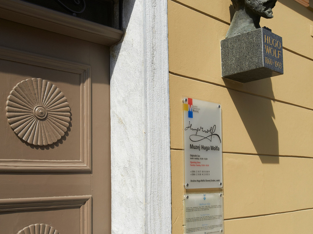 Rojstna Hiša Huga Wolfa Slovenj Gradec景点图片