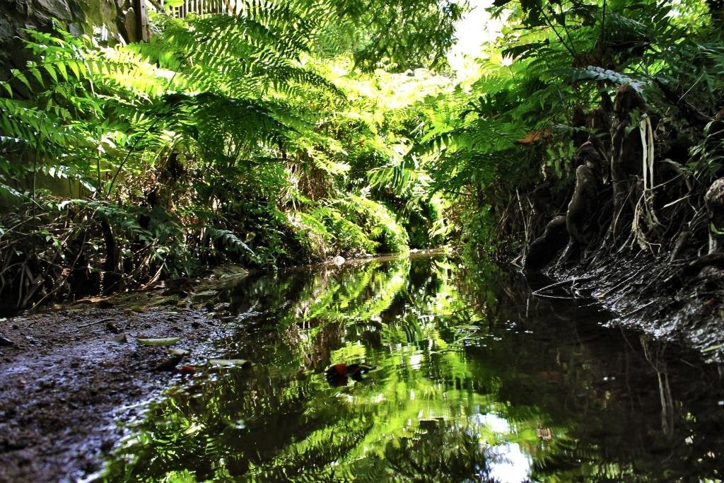 African Tree Lodge主图