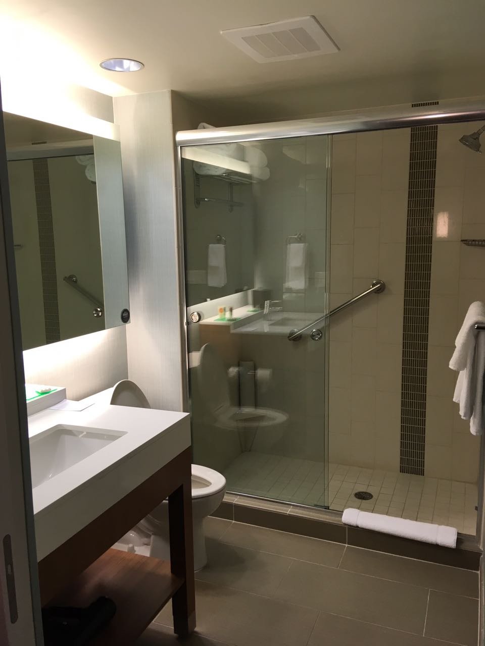 Hyatt Place St. Petersburg / Downtown-浴室