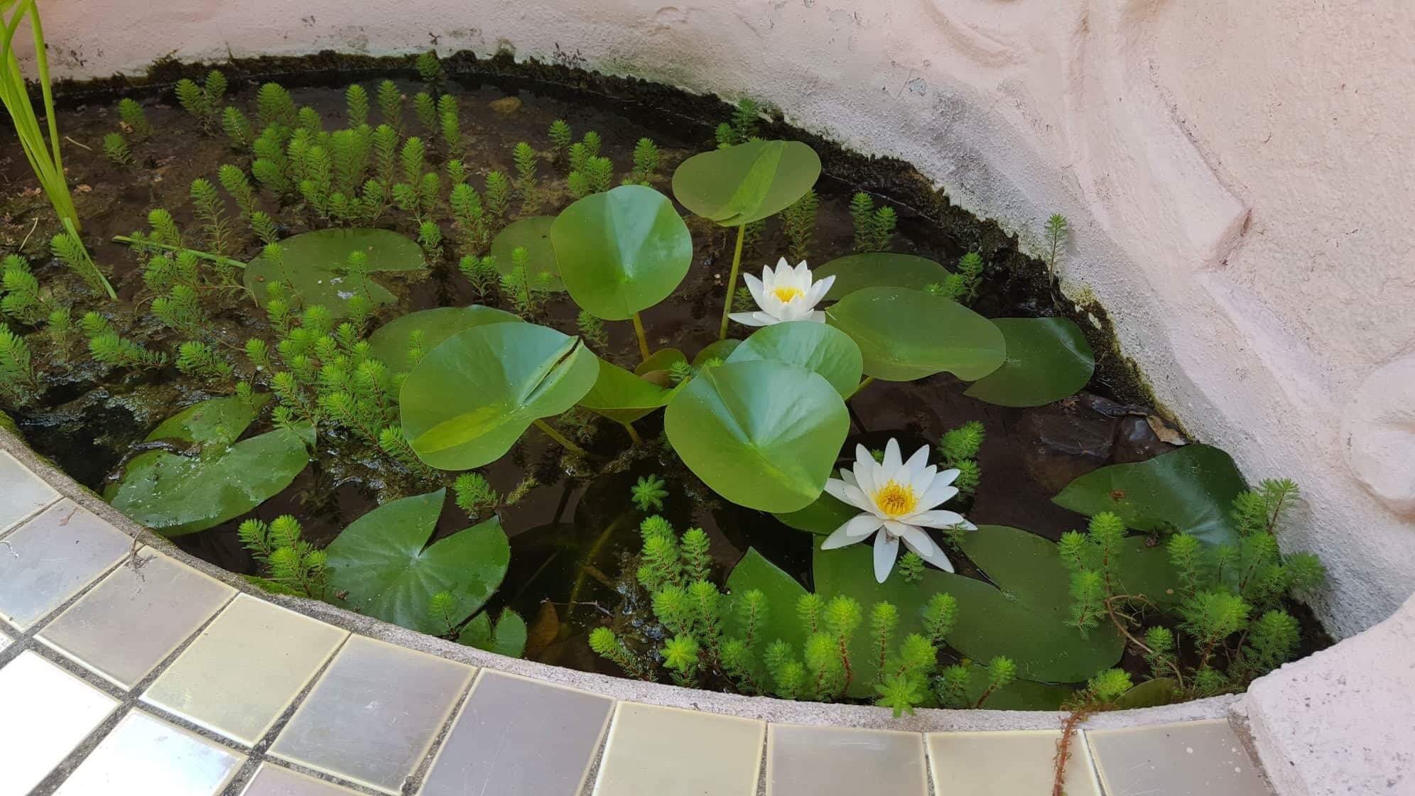 新缇拉酒店-浴室