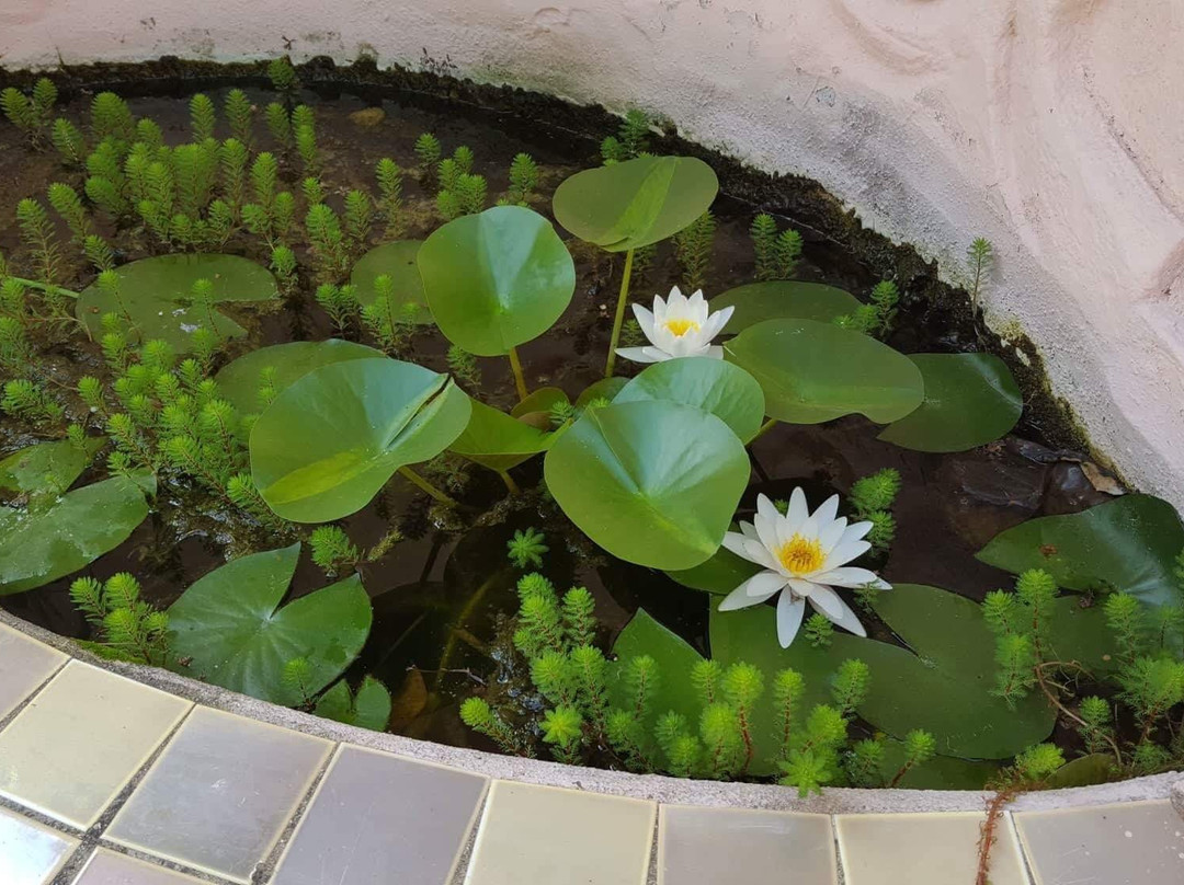 新缇拉酒店主图