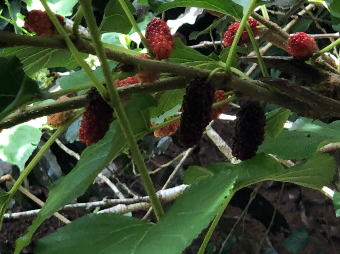 Club Agutaya Resort主图