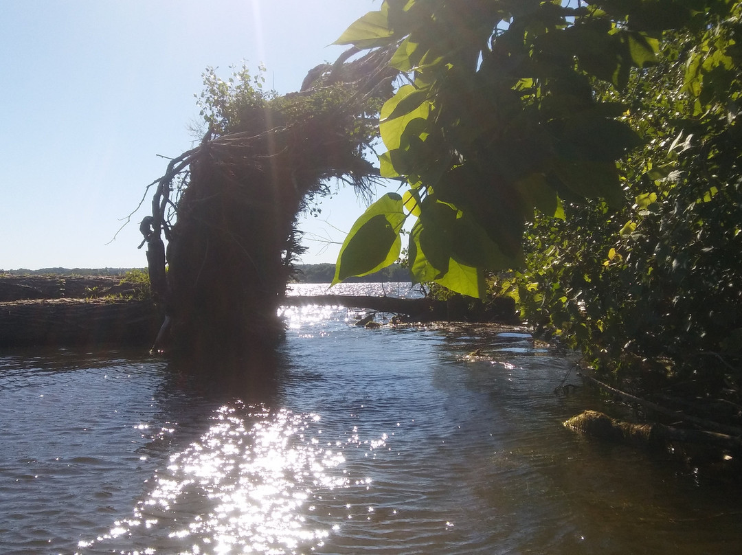 Cortland旅游攻略图片