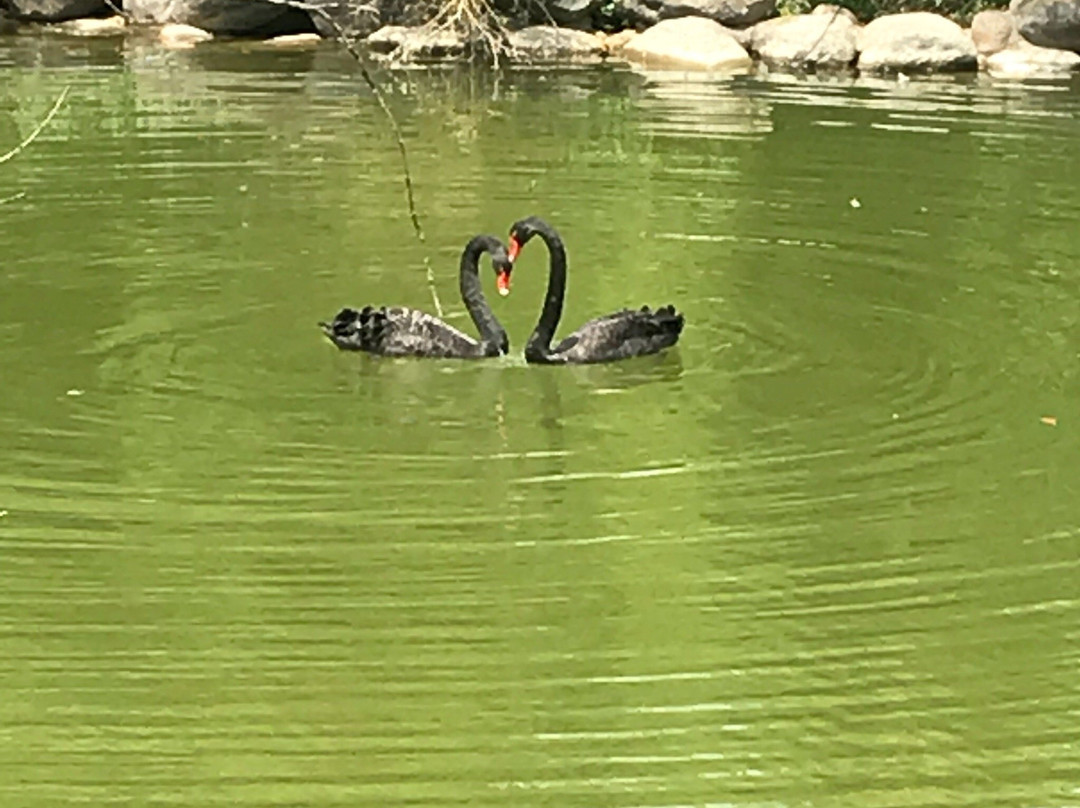 竹博园-安吉县必去景点