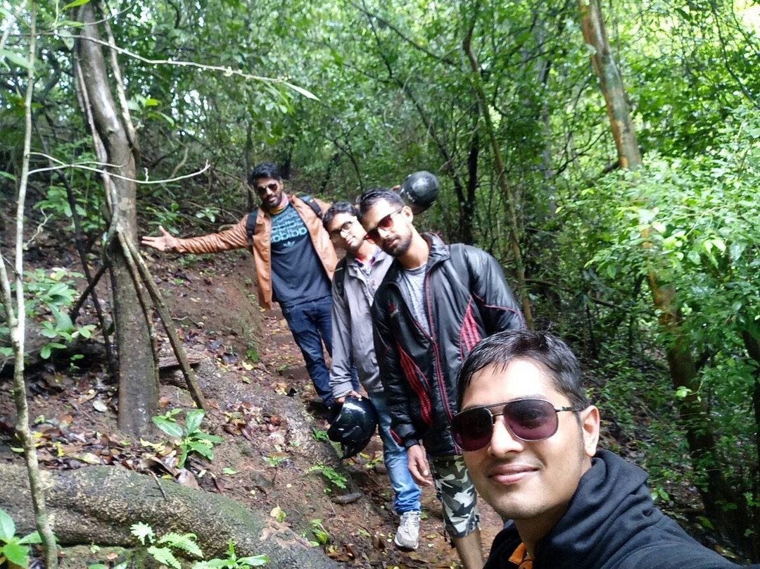 Netravali Wildlife Sanctuary景点图片