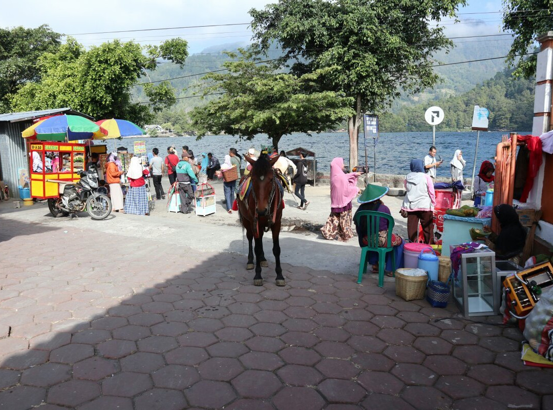 特拉伽马斯酒店主图