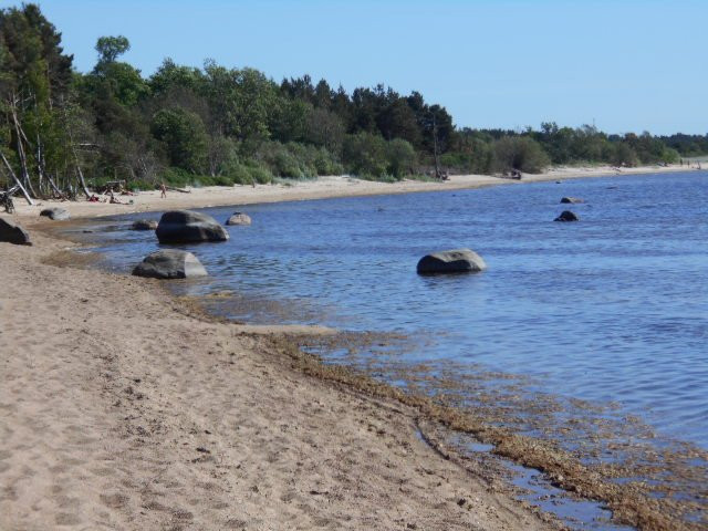 Harju County旅游攻略图片