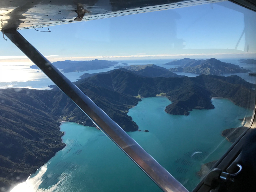 Marlborough Aero Club-布伦海姆必去景点