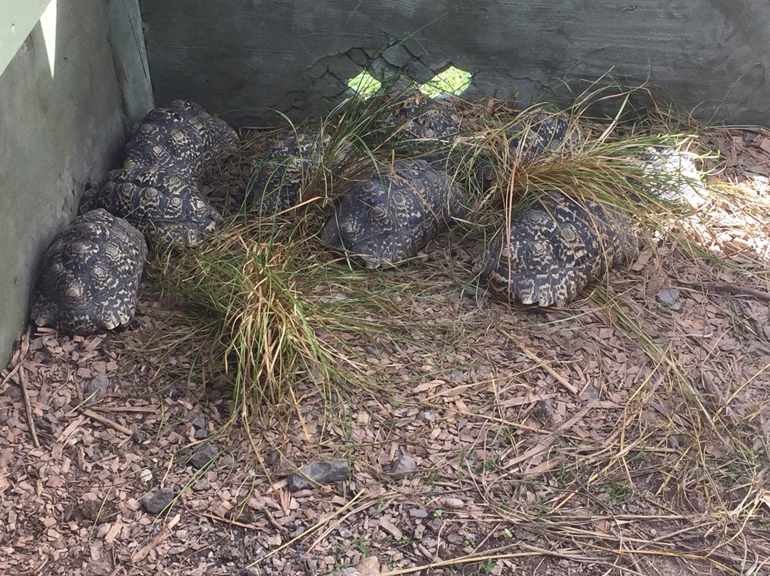 Reptile Park-瓦卡沃夫必去景点