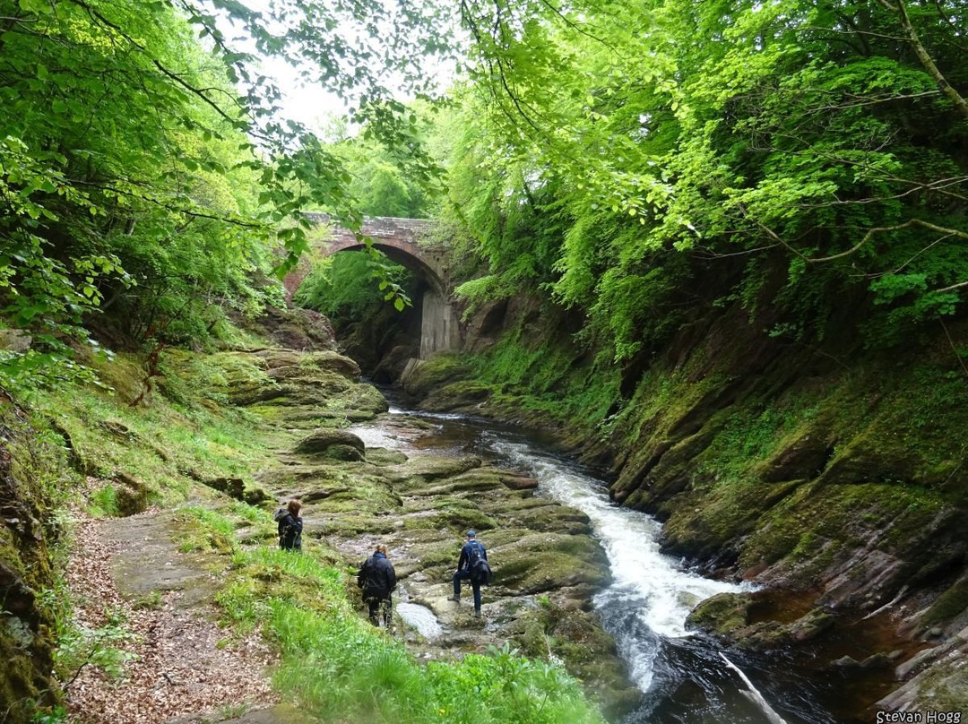null-Edzell