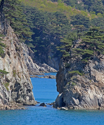 State Marine Conservation Area景点门票图片