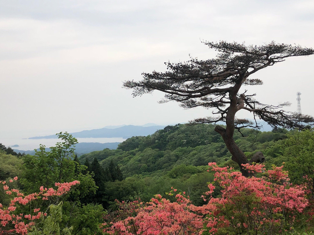 Mount Tatsugane-南三陆町必去景点