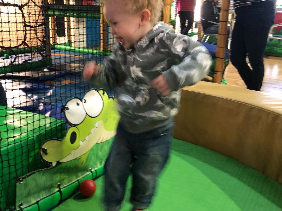 Jungle Jack's-纽奎必去景点