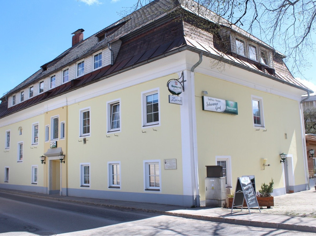 Gasthaus-Pension Schwarzer Graf主图