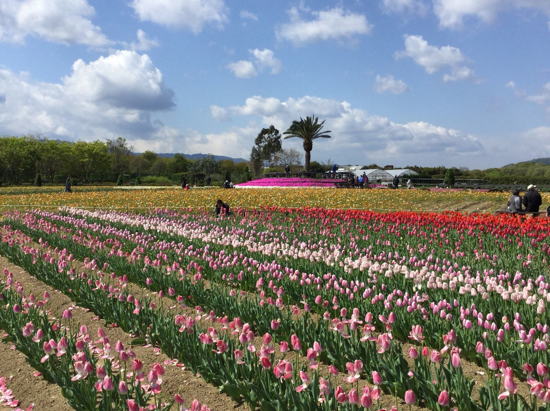 Izumi Recycle Environment Park-和泉市必去景点