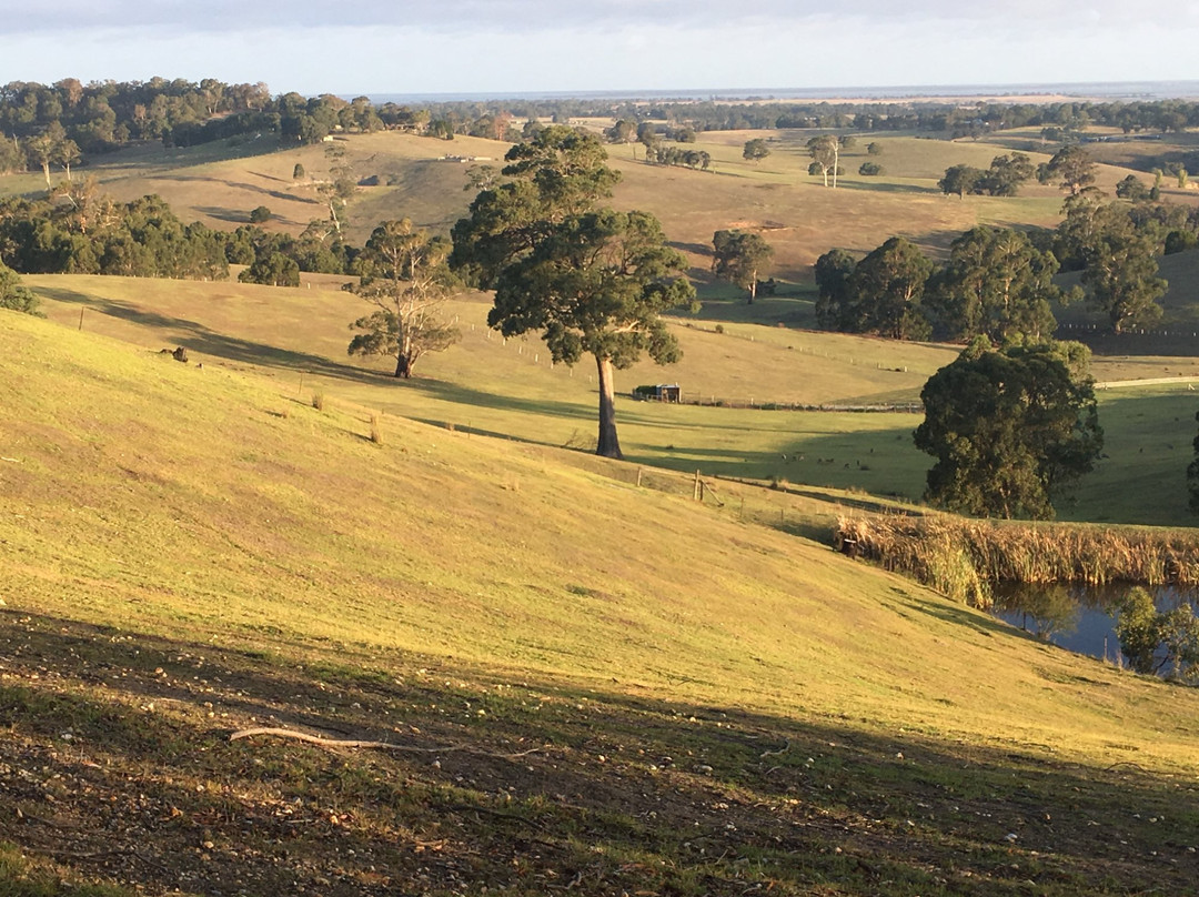 Down to Earth Farm Retreat主图