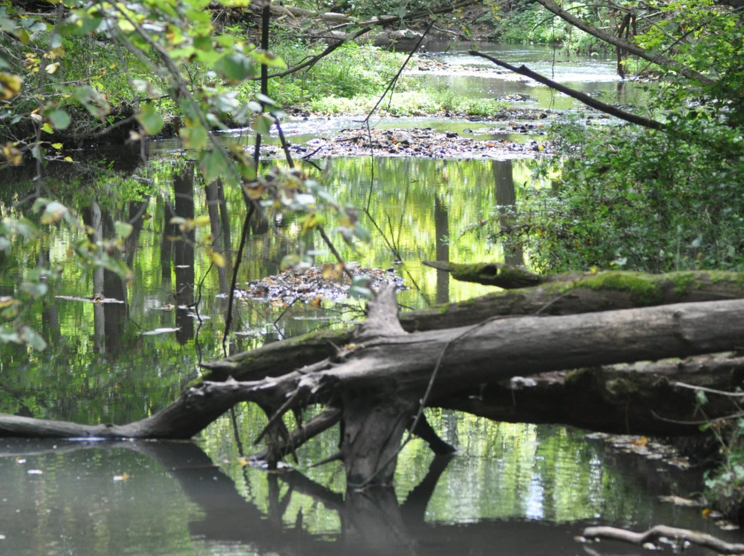 Severson Dells Nature Center-罗克福德必去景点