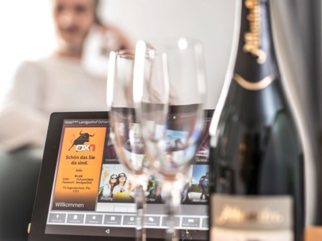 Hotel*** Restaurant Ochsen Sinzheim主图