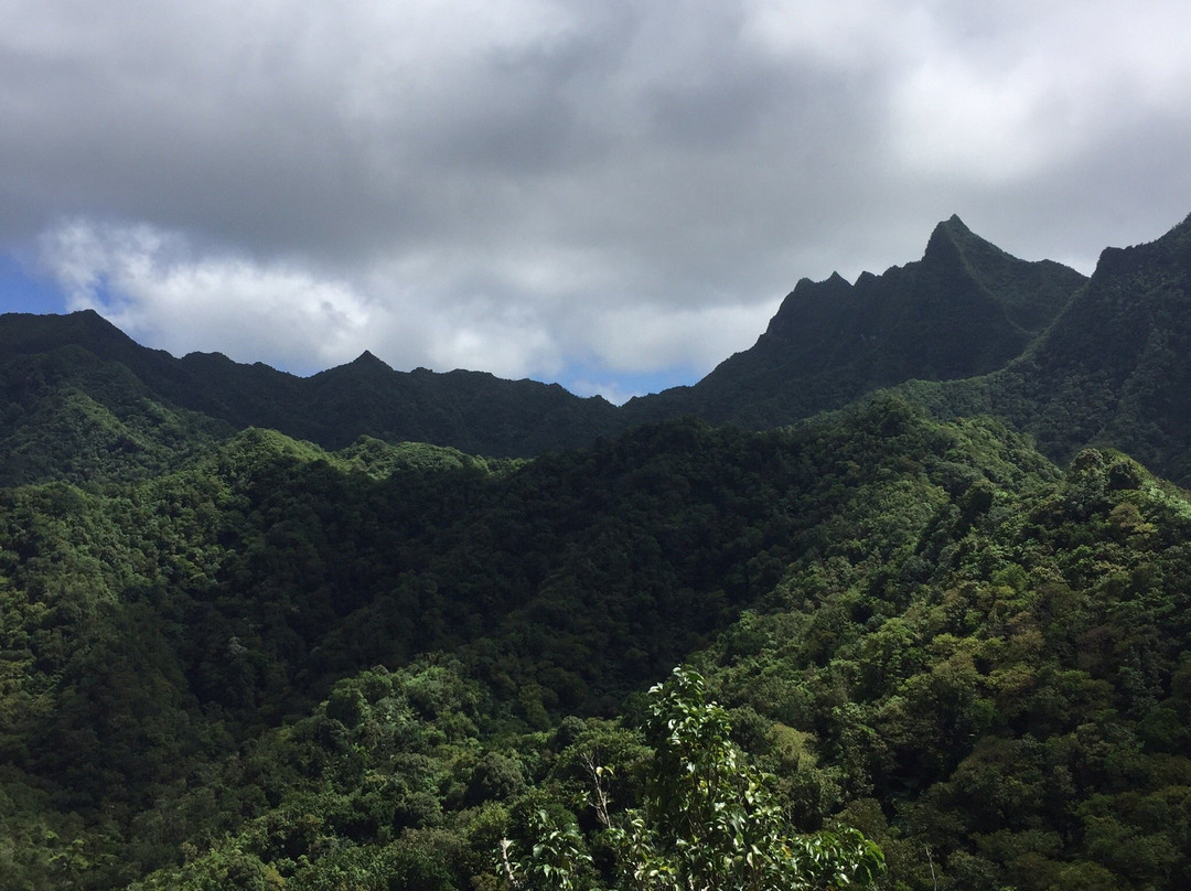 Takitumu Conservation Area-拉罗汤加必去景点