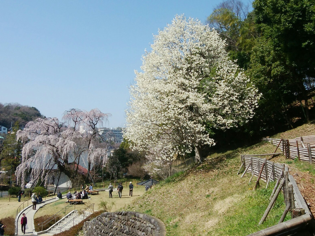 Tsurumaki West Park景点图片