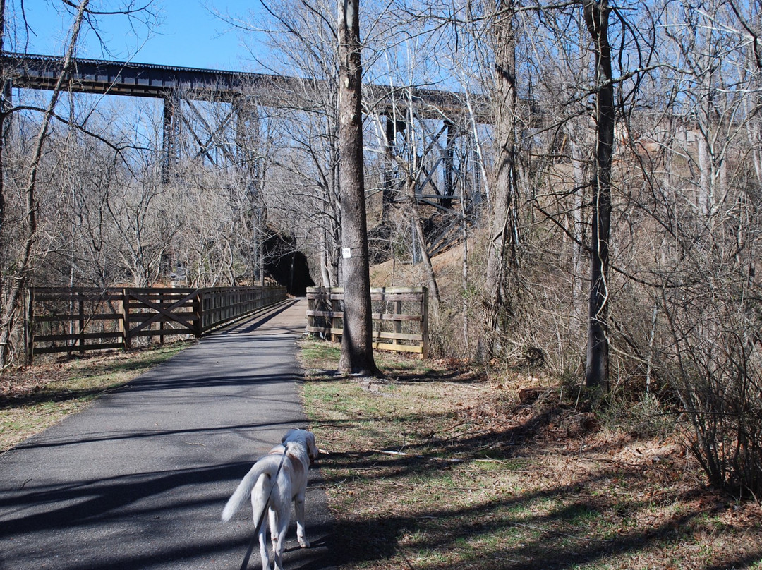 Blackwater Creek Trail景点图片